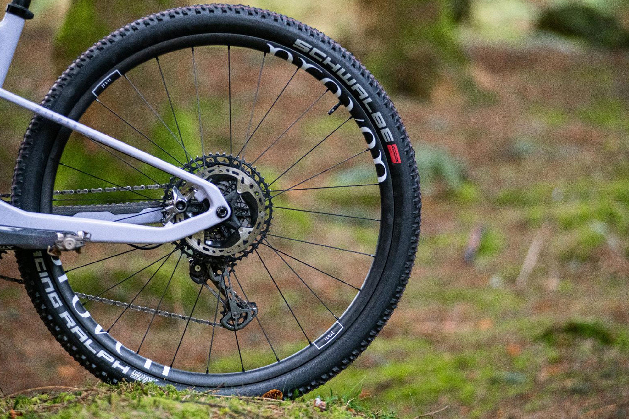 RE:NEW HUNT Proven Carbon Race XC 29 Wheelset - Image 9
